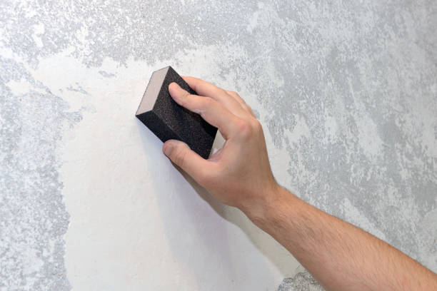 Best Mold-Related Health Consultation  in Ridgeland, SC