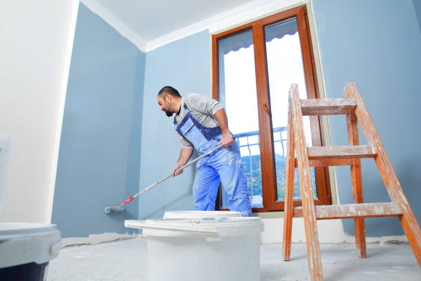 Best Mold Removal for HVAC Installations  in Ridgeland, SC