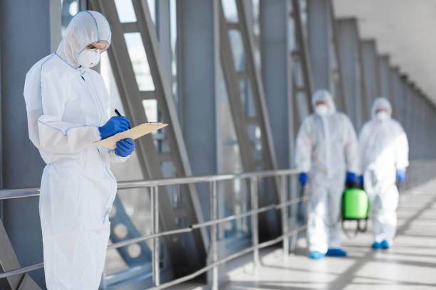 Best Real Estate Mold Inspection  in Ridgeland, SC