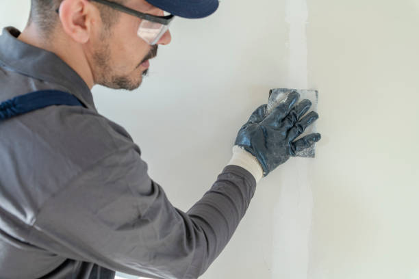Best Black Mold Removal  in Ridgeland, SC