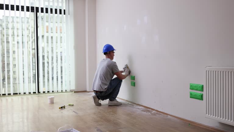 Best Basement Mold Removal  in Ridgeland, SC
