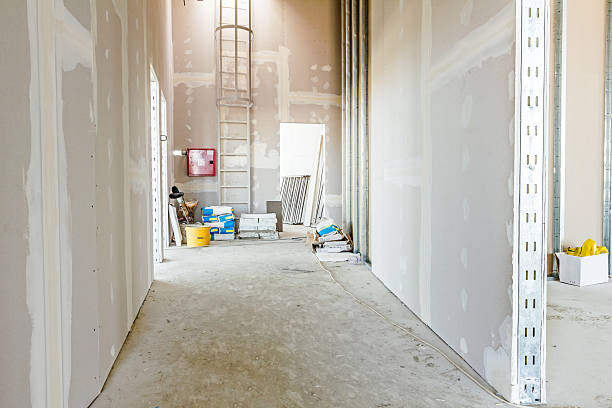 Best Mold Remediation for Vacation Homes  in Ridgeland, SC
