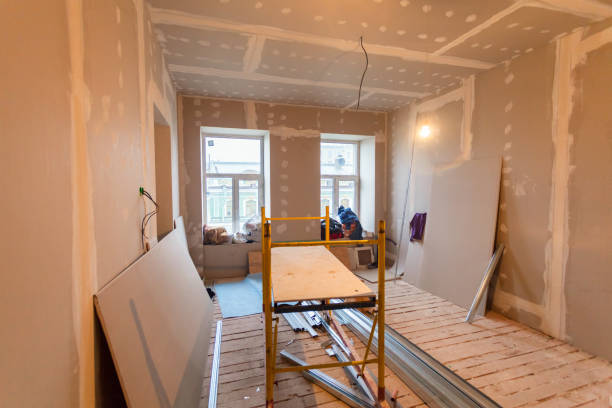 Best Post-Construction Mold Inspection  in Ridgeland, SC